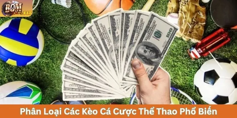 Phân loại các kèo cá cược thể thao phổ biến